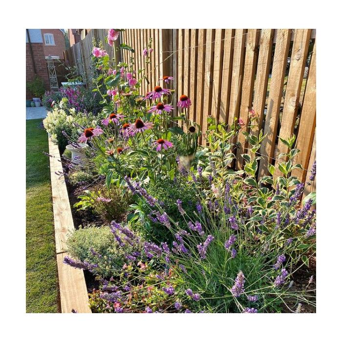 Pack de 48 mini traverses de bois traitée UC3 | 3 m x 150 mm x 75 mm